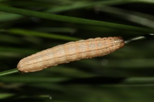 IMG_9344.JPG