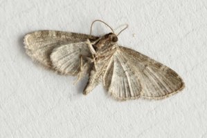 Copie de IMG_3359.jpg