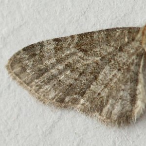 Copie de IMG_3358.jpg