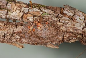 DSC_6837.JPG