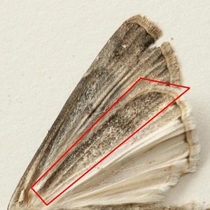 Copie de IMG_5773.jpg