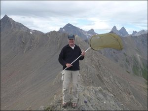 Pic Blanc du Galibier - 2955 m.jpg