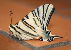 IMG_8157.jpg