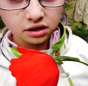 chenille sur coquelicot 12052012.jpg