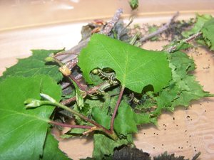 100_3181.JPG