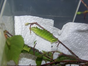 100_3218.JPG