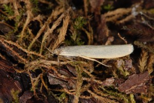 DSC_8606.JPG