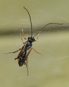 P1080075.JPG