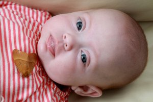 IMG_4732.jpg