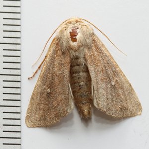 Copie de IMG_6788.jpg