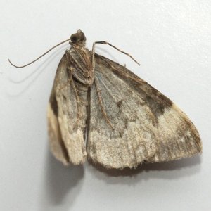 Copie de IMG_7117.jpg