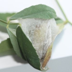 Copie de 2012.9.16.jpg