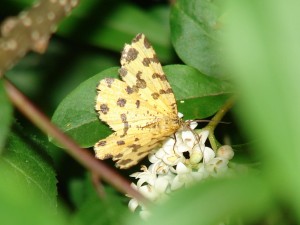 DSC05856.JPG