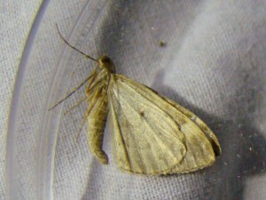 DSC09566.JPG