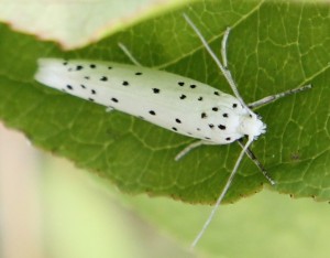 IMG_1486.JPG