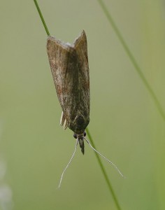 _ROT3144 - Copie.JPG