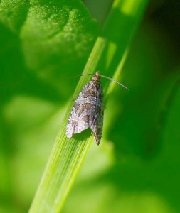 _ROT0940 - Copie.jpg