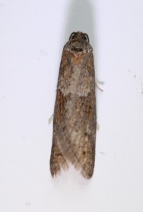 IMG_7771_edited.jpg