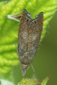 IMG_3020_modifié-2.jpg