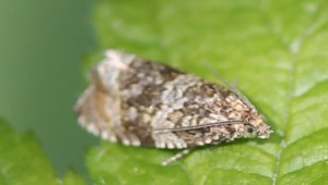 IMG_8670.JPG