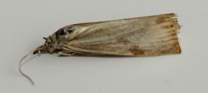 IMG_4364.JPG
