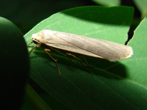 DSC06886.JPG