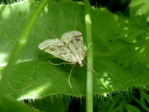 P1400004.JPG