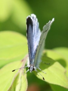 Copie de IMG_3197.jpg