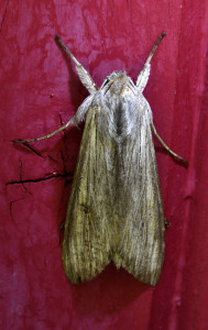 p14_redimensionner.jpg