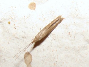 DSC08120.JPG