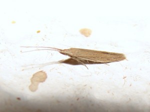 DSC08119.JPG