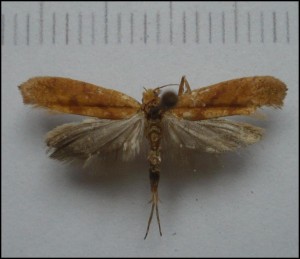 ph 004.jpg