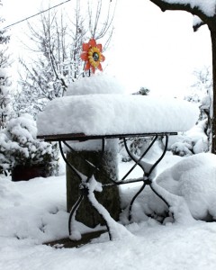 Neige ppc-1469.jpg