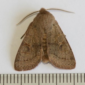 Copie de IMG_1164.jpg