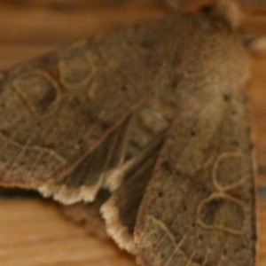 Copie de IMG_1169.jpg