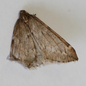Copie de IMG_1309.jpg