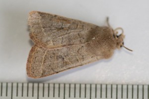 Copie de IMG_1326.jpg