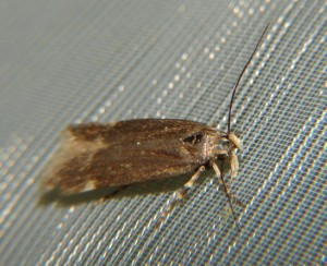DSC00482.JPG