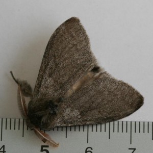 Copie de IMG_2733.jpg