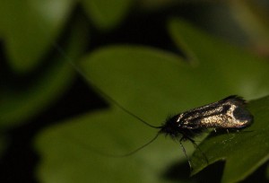 2010.05.08 (122p).jpg