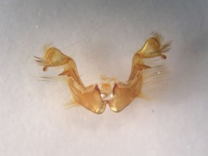 DSCN6157.JPG