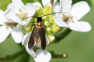 Copie de IMG_3640.jpg