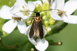 Copie de IMG_3641.jpg