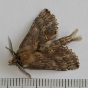 Copie de IMG_3871.jpg