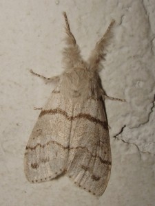 DSC01748.JPG
