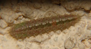DSC01739.JPG
