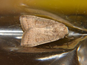 DSC01845.JPG