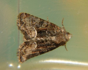 DSC01846.JPG