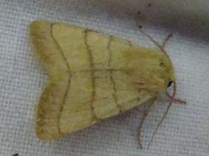Copie de DSC00615.JPG