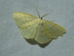 DSC00618.JPG